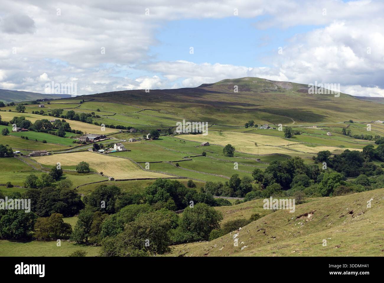 "Reeth Low Moor" (Calver Hill) da "Fremington Edge" vicino a Reeth a Swaledale, Yorkshire Dales National Park, Inghilterra, Regno Unito. Foto Stock