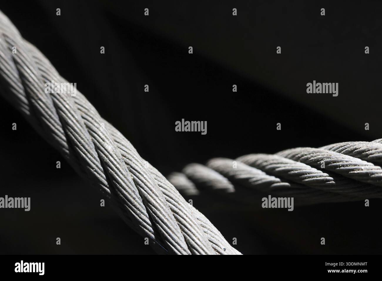 Fune metallica metallica industriale che mostra resistenza e potenza di tensione su sfondo nero per catturare la trama dettagliata del cavo in acciaio intrecciato pesante c Foto Stock