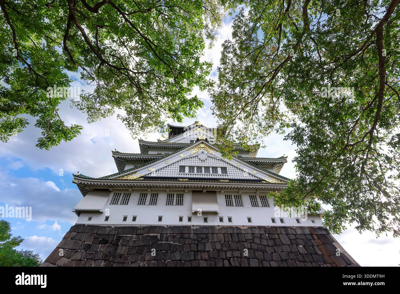 Tradizionale castello giapponese di Osaka incorniciato da Tree Canopy a Osaka Foto Stock