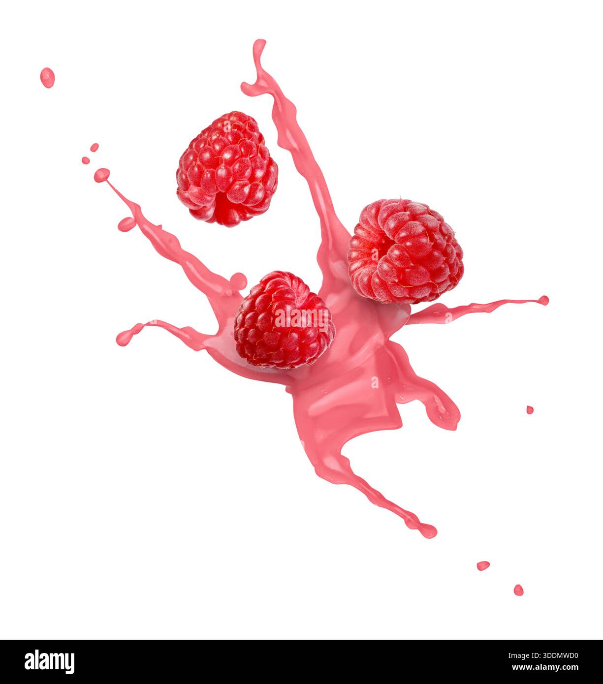 Frullate il latte e i lamponi in aria su sfondo bianco Foto Stock
