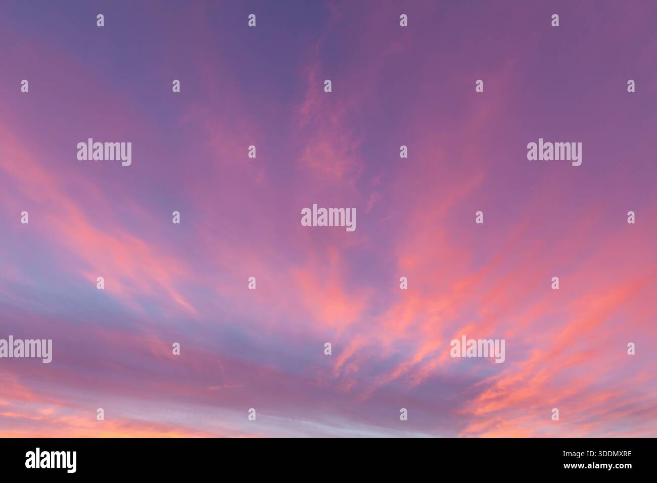 Incredibile cielo rosa al tramonto con nuvole rosa mostruose in serata a Norfolk, Inghilterra Foto Stock