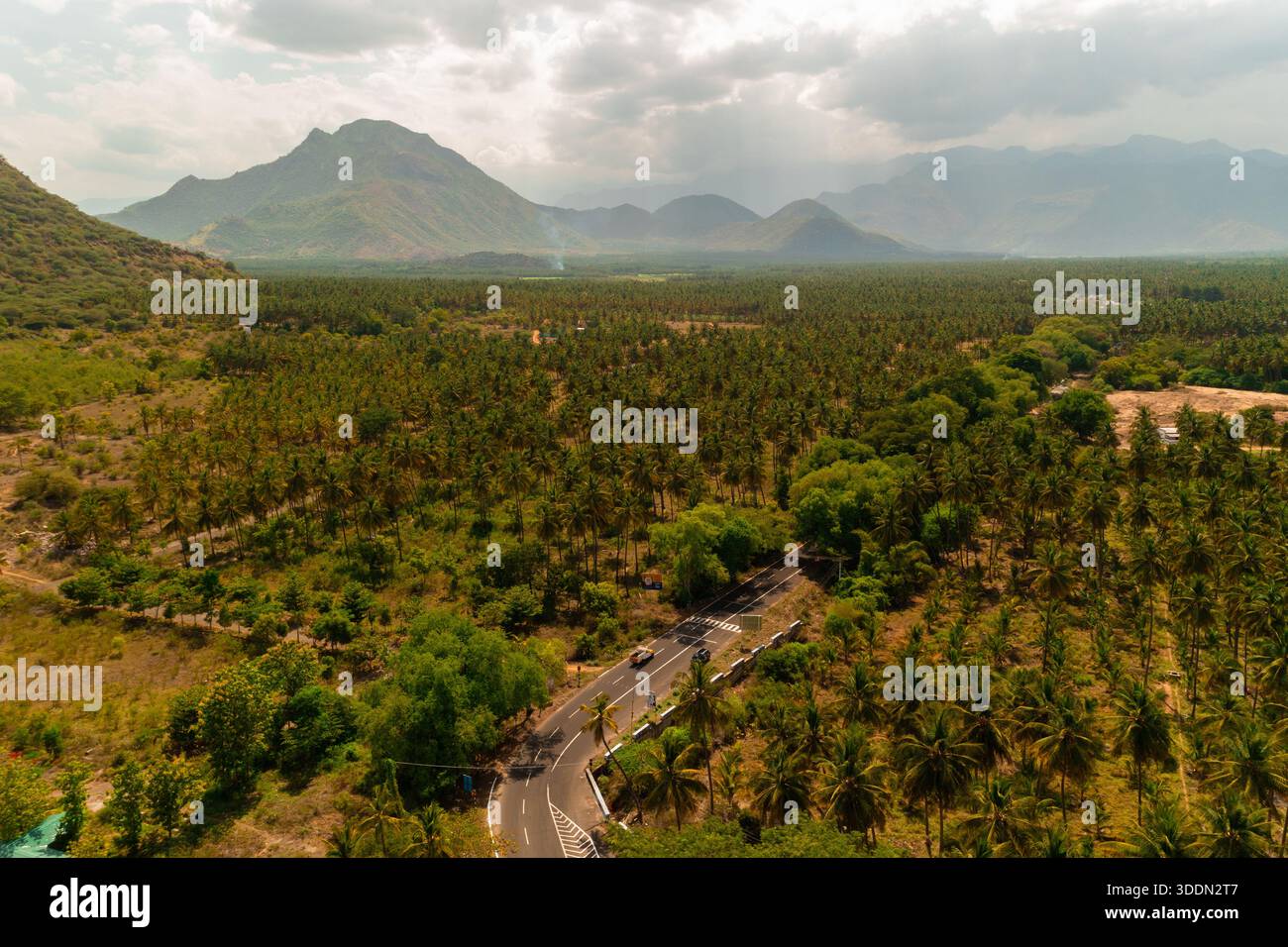 Vista aerea di una strada che si snoda attraverso una fitta e verdeggiante foresta sotto lo sguardo vigile delle montagne lontane, Poombarai, Tamil Nadu, India. Foto Stock