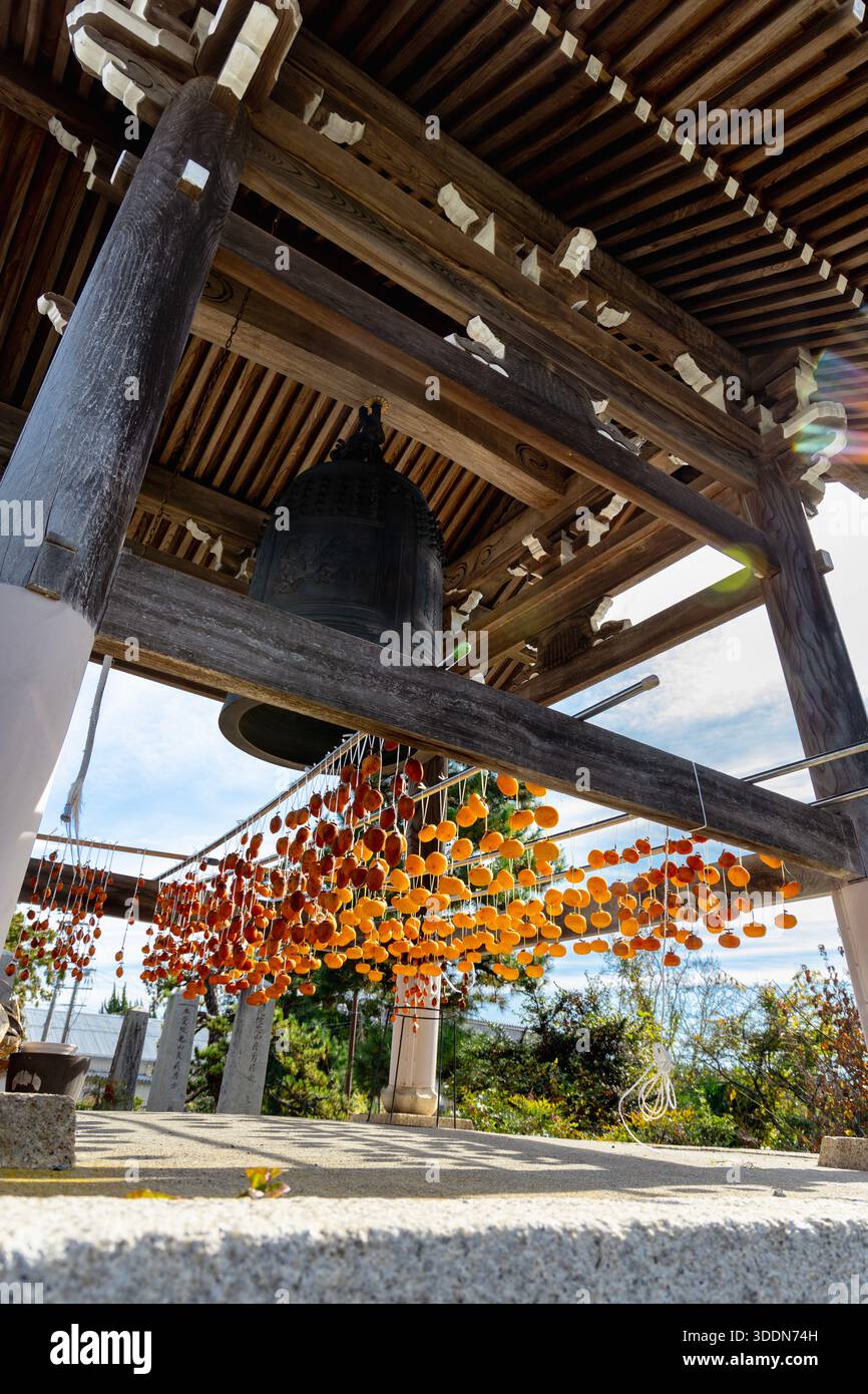 I Persimmons si sono appesi ad asciugare sullo shoro (edificio a campana) del Tempio di Shodenji, villaggio di Harie di Living Water, Takashima, Shiga, Giappone Foto Stock