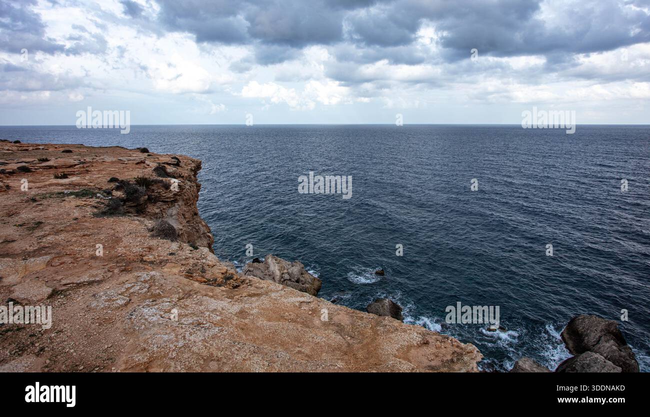 Scogliere di puffin a Rdum-tal-Madonna Mellieha Malta Foto Stock