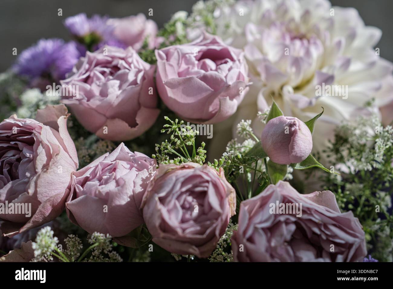 Primo piano di un bouquet elegante nei toni del bianco e del viola con dettagli floreali Foto Stock