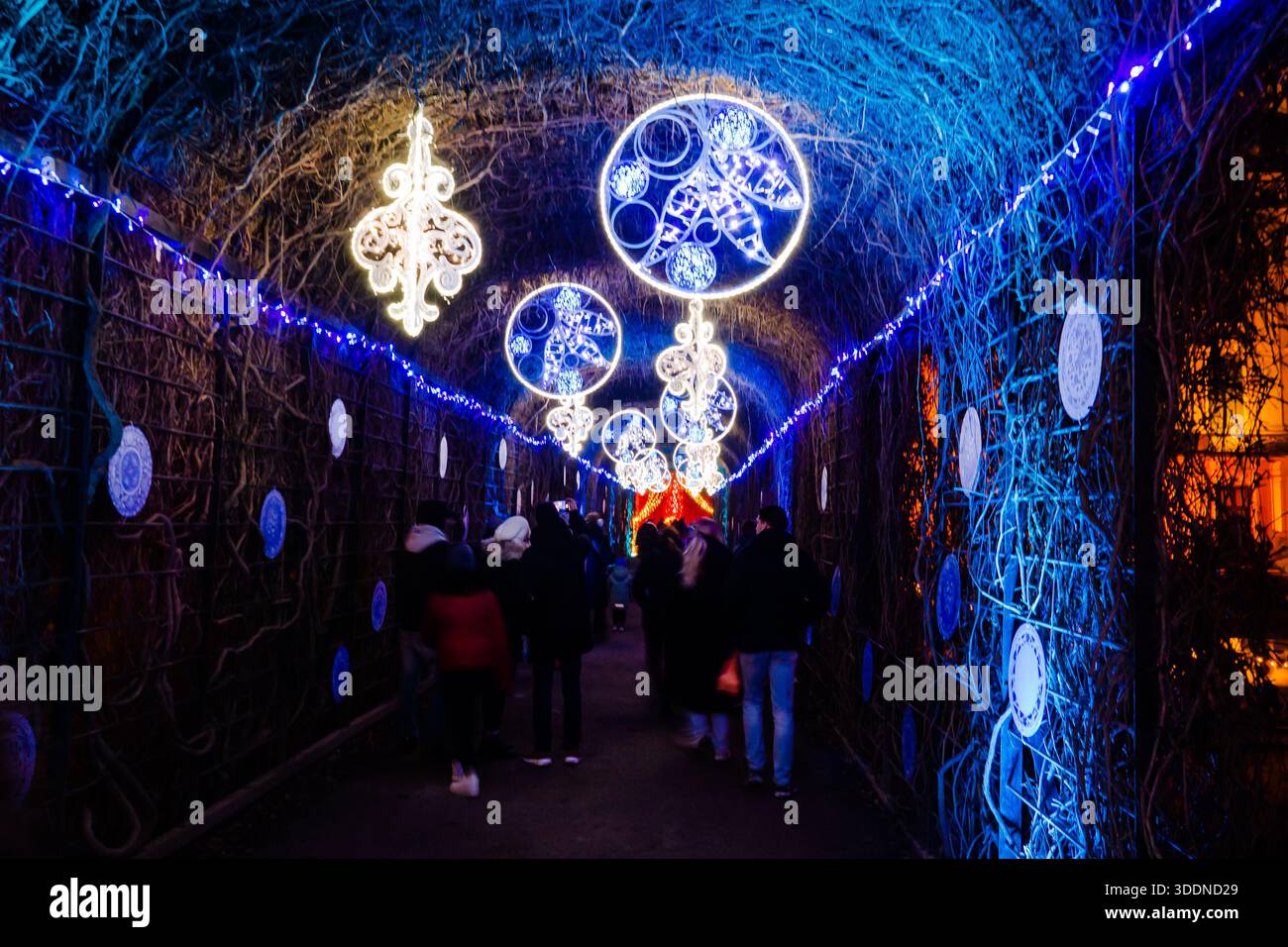 Galleria illuminata blu Schonbrunn passerella luminosa per le feste i turisti serali passeggiano sotto i lampadari Hanging Globe, le cornici dei fotografi che illuminano Orname Foto Stock