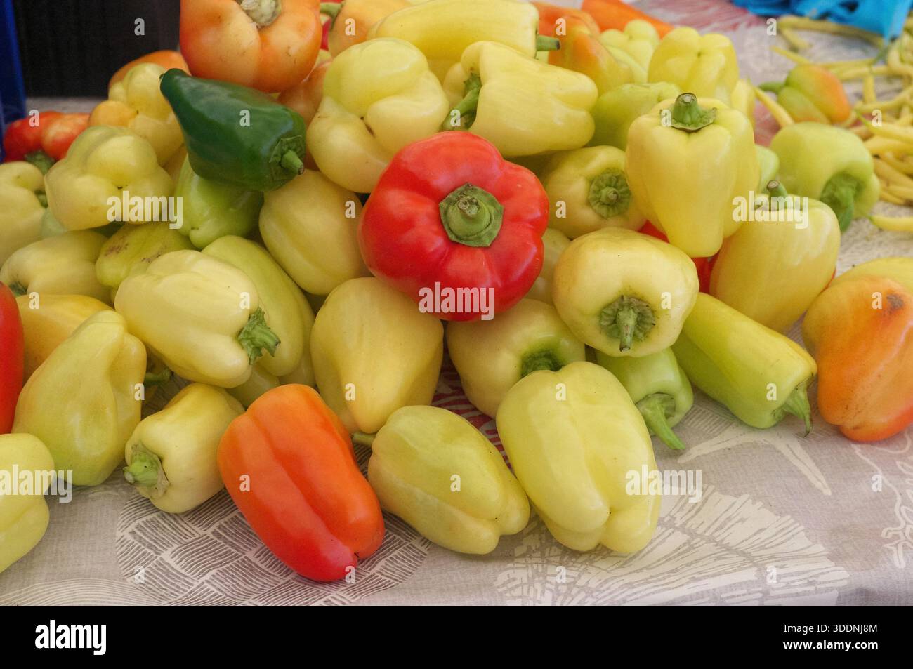 Pepe rosso su sfondo di peperoni gialli nella stalla del mercato vegetale a Gruz, Dubrovnik, Croazia Foto Stock