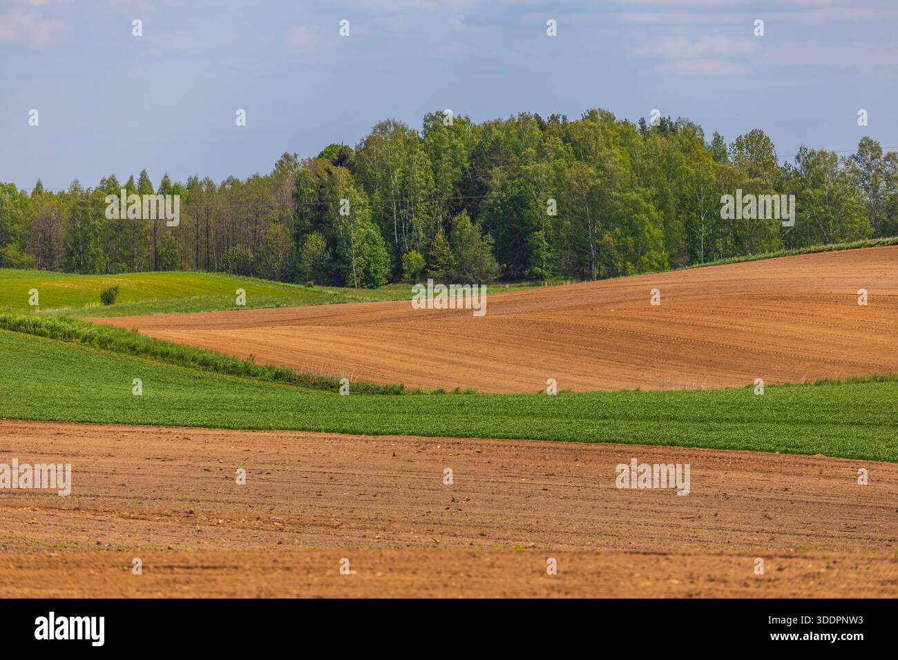 Terreni agricoli ondulati con campi arati, colture verdi e foreste nella regione della Masuria in Polonia durante la primavera. Foto Stock