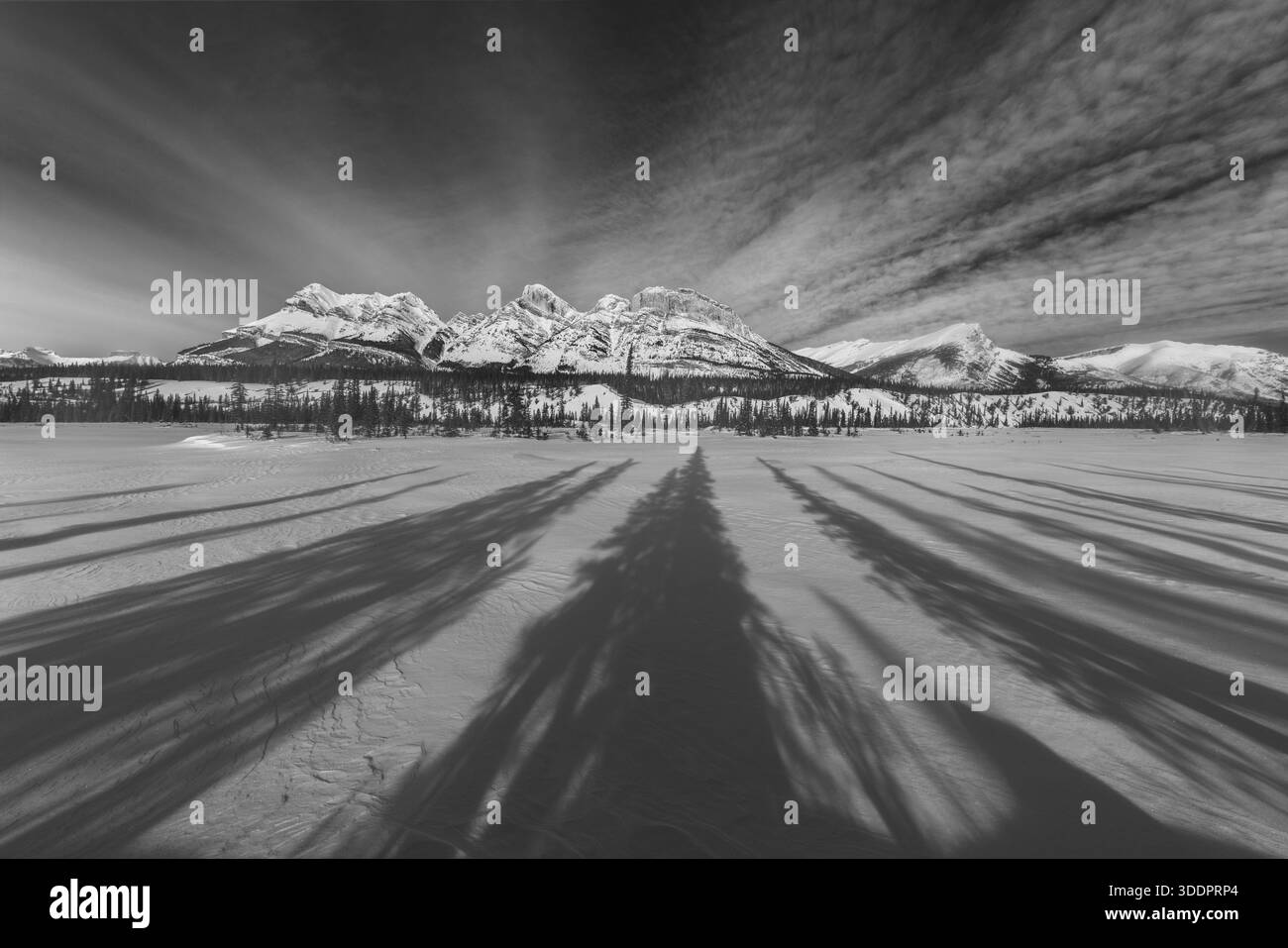 La vista di ombre sorprendenti si estende attraverso la distesa innevata verso maestose montagne innevate sotto un cielo spettacolare, Banff, Alberta, Canada. Foto Stock