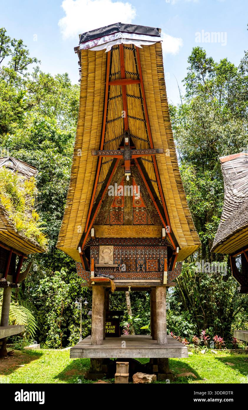 Tradizionale casa Toraja con caratteristico tetto a forma di barca in una lussureggiante vegetazione. Foto Stock