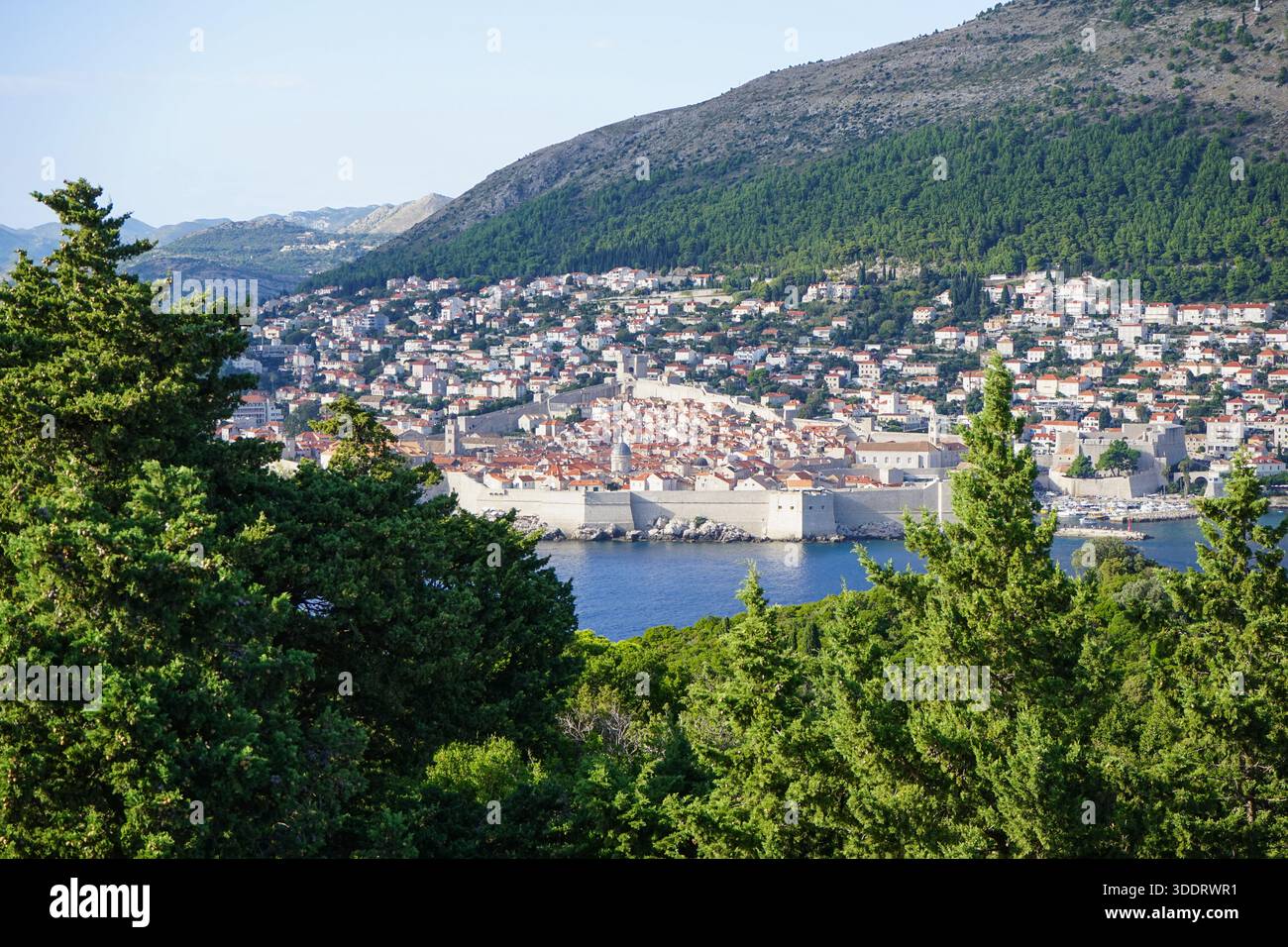 Vista di Dubrovnik dall'isola di Lokrum, Croazia Foto Stock
