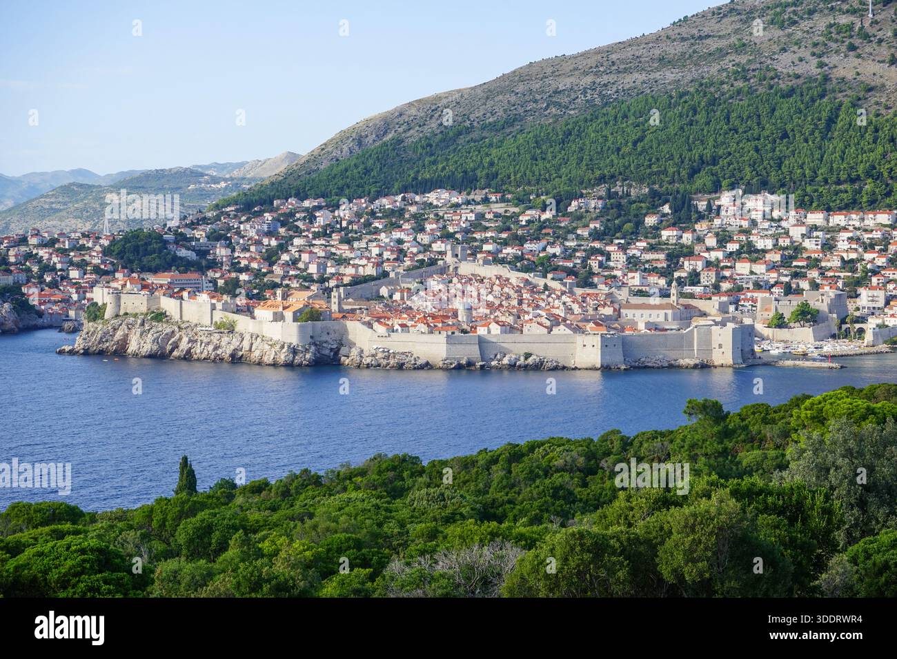 Vista di Dubrovnik dall'isola di Lokrum, Croazia Foto Stock