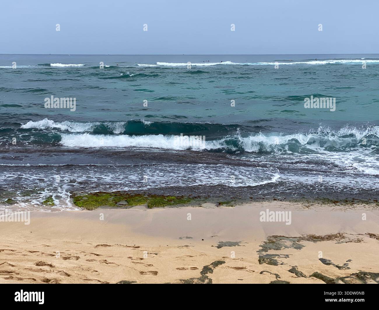 La spiaggia sabbiosa, l'Oceano Pacifico e i surfisti di Laniakea Beach a Haleiwa, Oahu, Hawaii, Stati Uniti Foto Stock