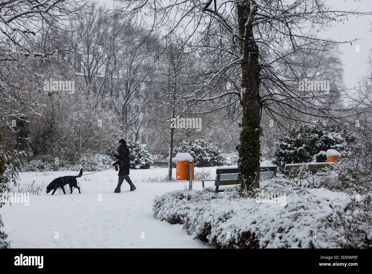 Schneefall, Impressionen aus dem Tiergarten, Berlino, 03.01.2026 Eine Spaziergängerin mit Hund läuft durch den Kleinen Tiergarten am 03.01.2026 Berlin Tiergarten *** nevicata, impressioni dal Tiergarten, Berlino, 03 01 2026 Un camminatore con un cane attraversa il Kleiner Tiergarten il 03 01 2026 Berlin Tiergarten Copyright: XBenxKriemannx Foto Stock