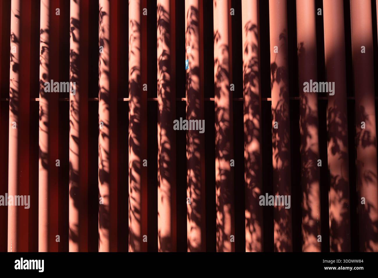 Luce solare attenuata e ombre di foglie gettate sulle pinne architettoniche verticali rosse dell'esterno di un edificio a Manhattan, New York City. Foto Stock