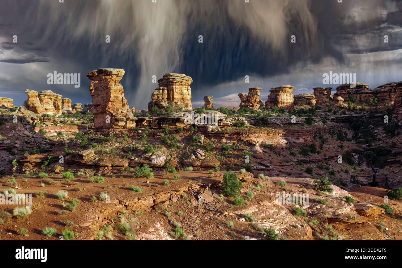 Nuvole di pioggia scure si estendono sul Needles District, nella parte meridionale del Canyonlands National Park, Utah, bagnando le guglie di roccia rossa e il mesas belo Foto Stock