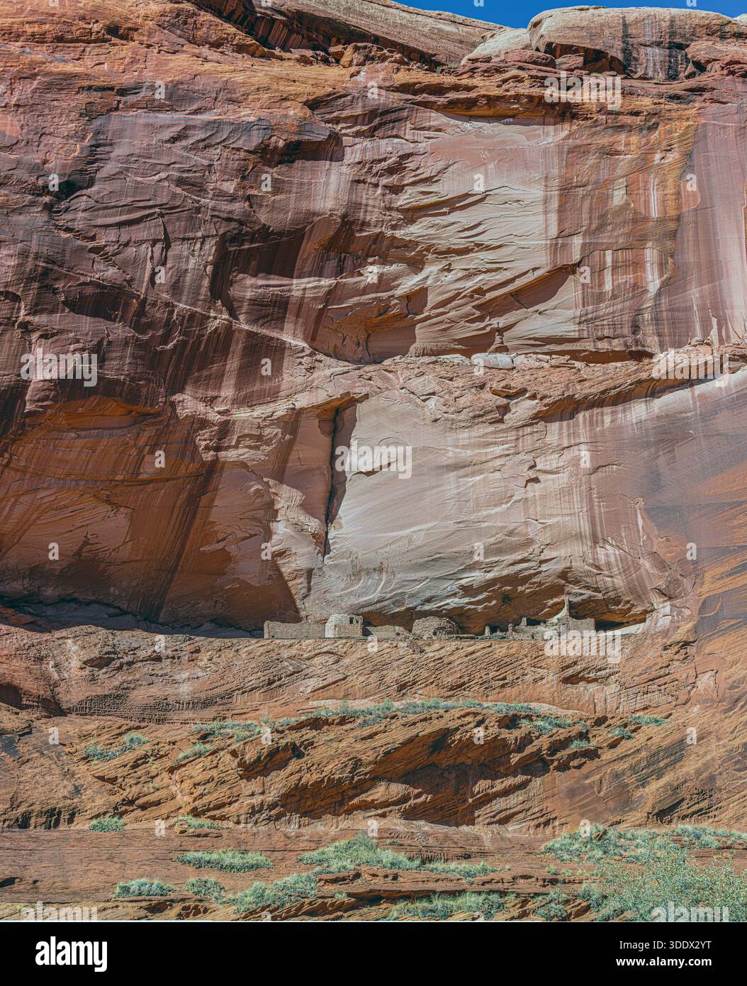 Le abitazioni in pietra note come prime rovine riposano sopra il fondo del canyon nel Canyon de Chelly, segnando una delle prime significative abitazioni ancestrali di Puebloan Foto Stock