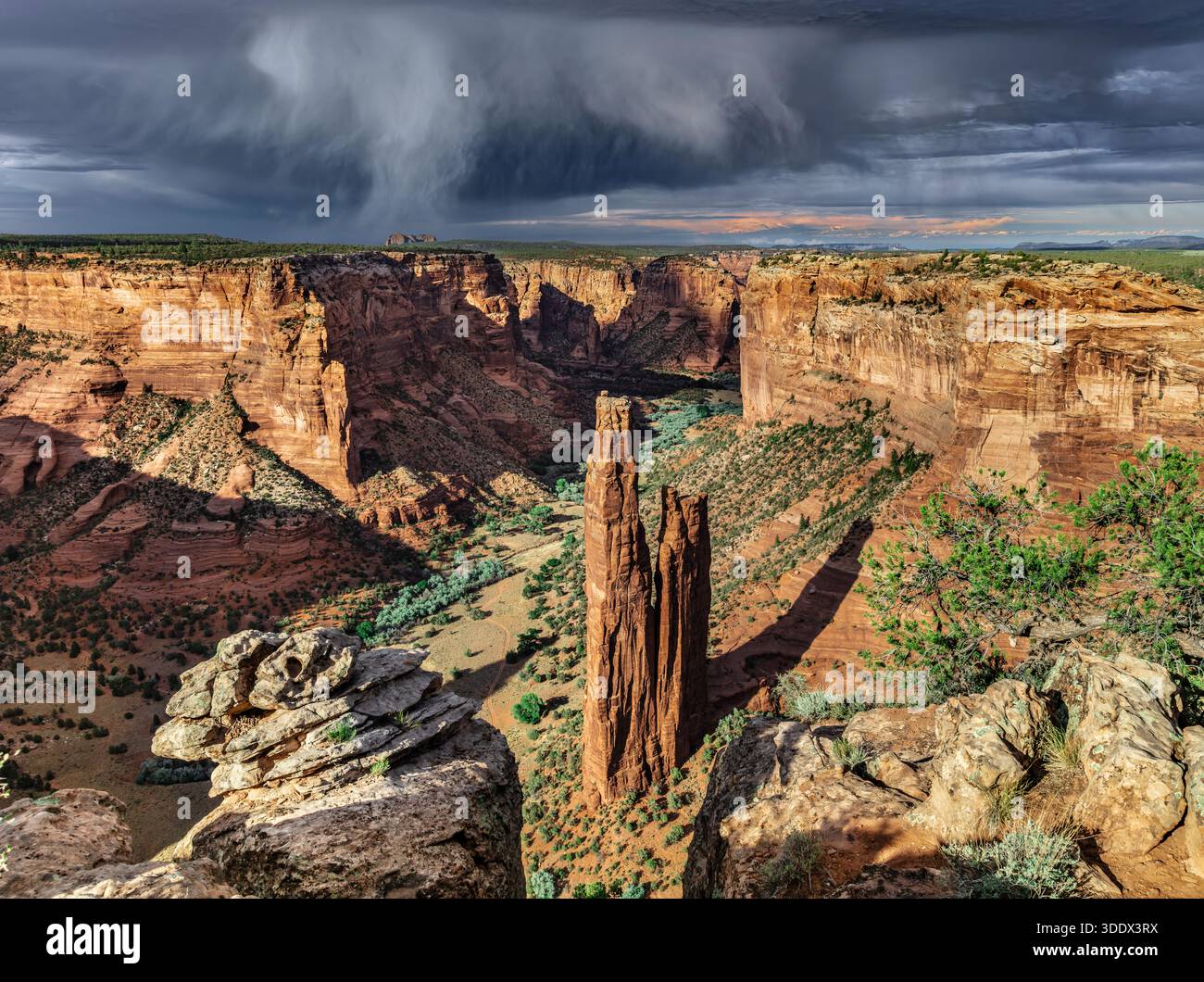 Innalzandosi a 800 metri dal fondo del Canyon de Chelly, Spider Rock si erge come una suggestiva guglia di arenaria incorniciata da scogliere rosse e ombre profonde. Foto Stock