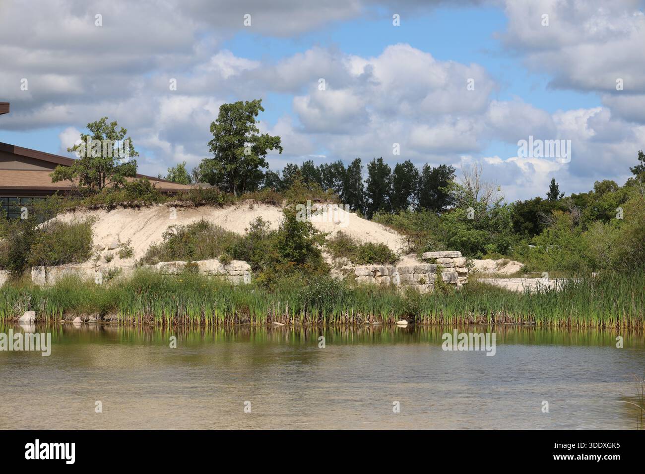 fitta foresta boreale verde aggrappata al suolo sabbioso, argine calcarea, litorale paludoso sotto cieli estivi parzialmente nuvolosi (paesaggio) Foto Stock