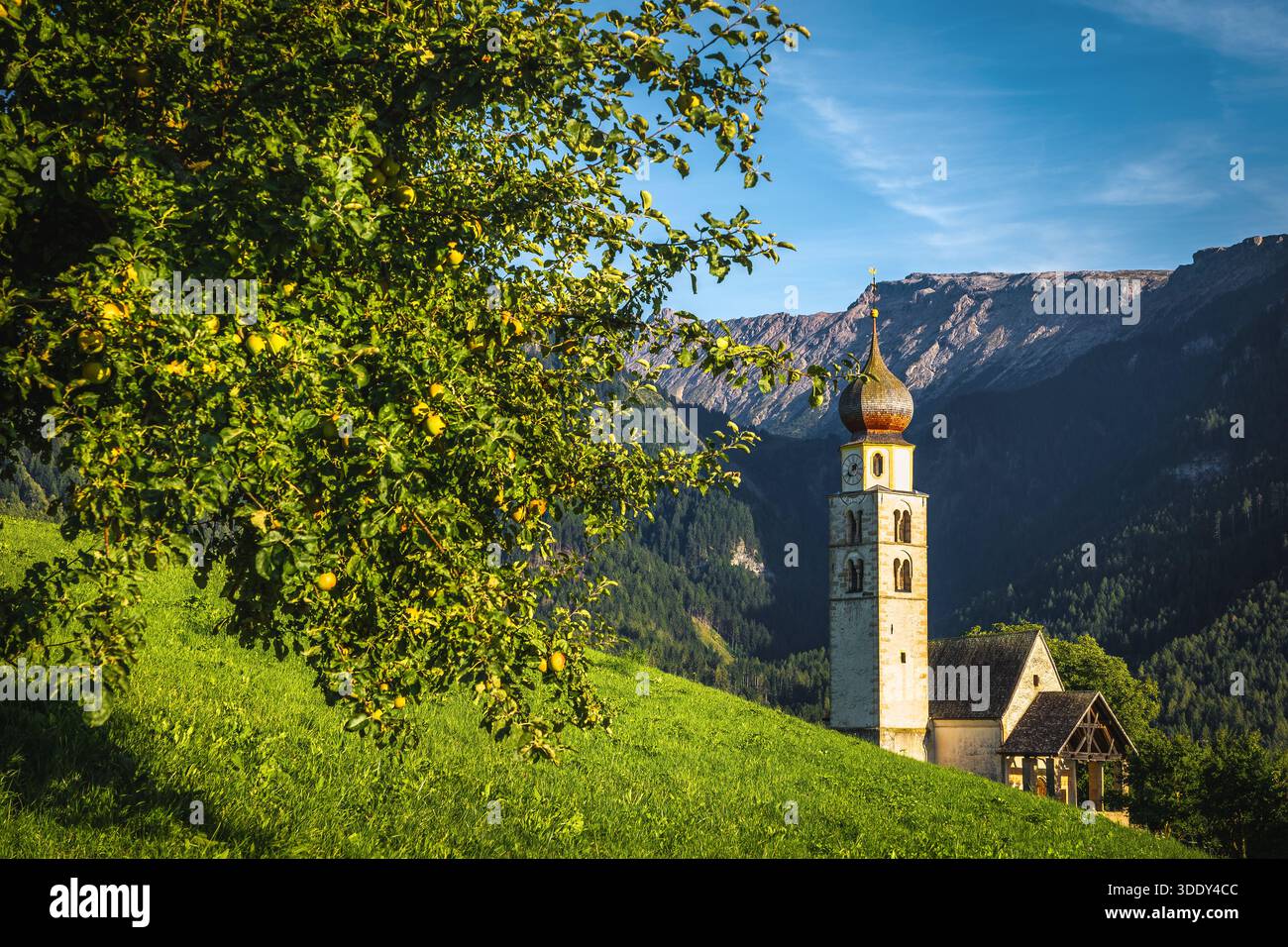 Graziosa chiesa alpina tradizionale di San Valentino sul verde pendio delle Dolomiti, Siusi, Trentino-alto Adige, alto Adige, Italia, Europa Foto Stock