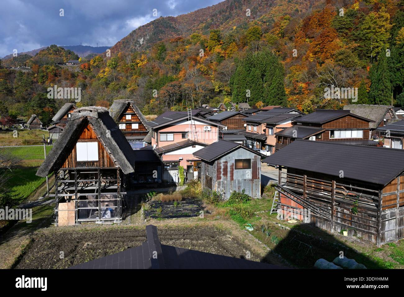 Villaggio di Shirakawa-go nella prefettura di Gifu, Giappone. Foto Stock