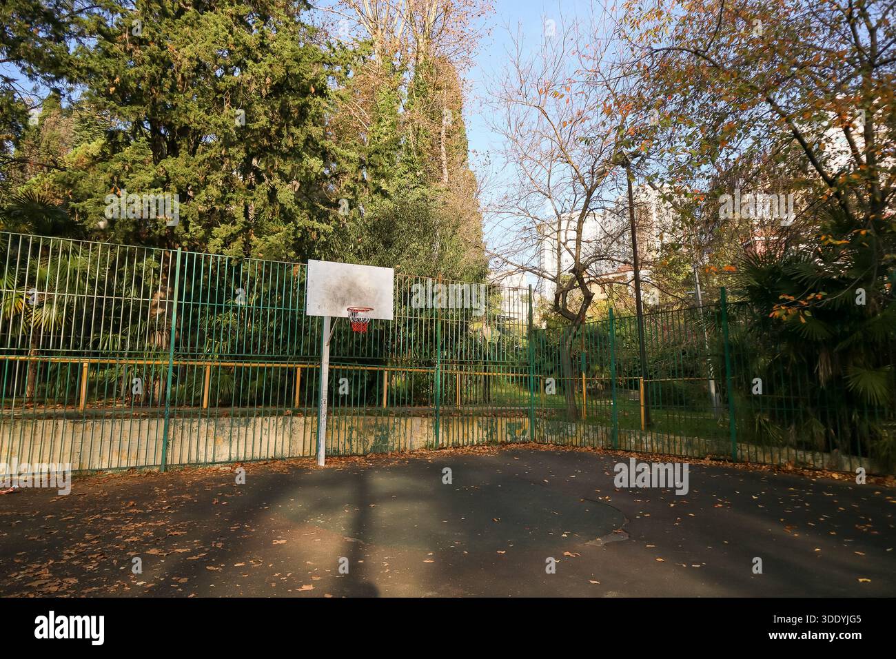 Tranquillo impianto di pallacanestro all'aperto con canestro sul recinto verde, foglie cadute a terra, alberi ed edifici distanti in vista Foto Stock