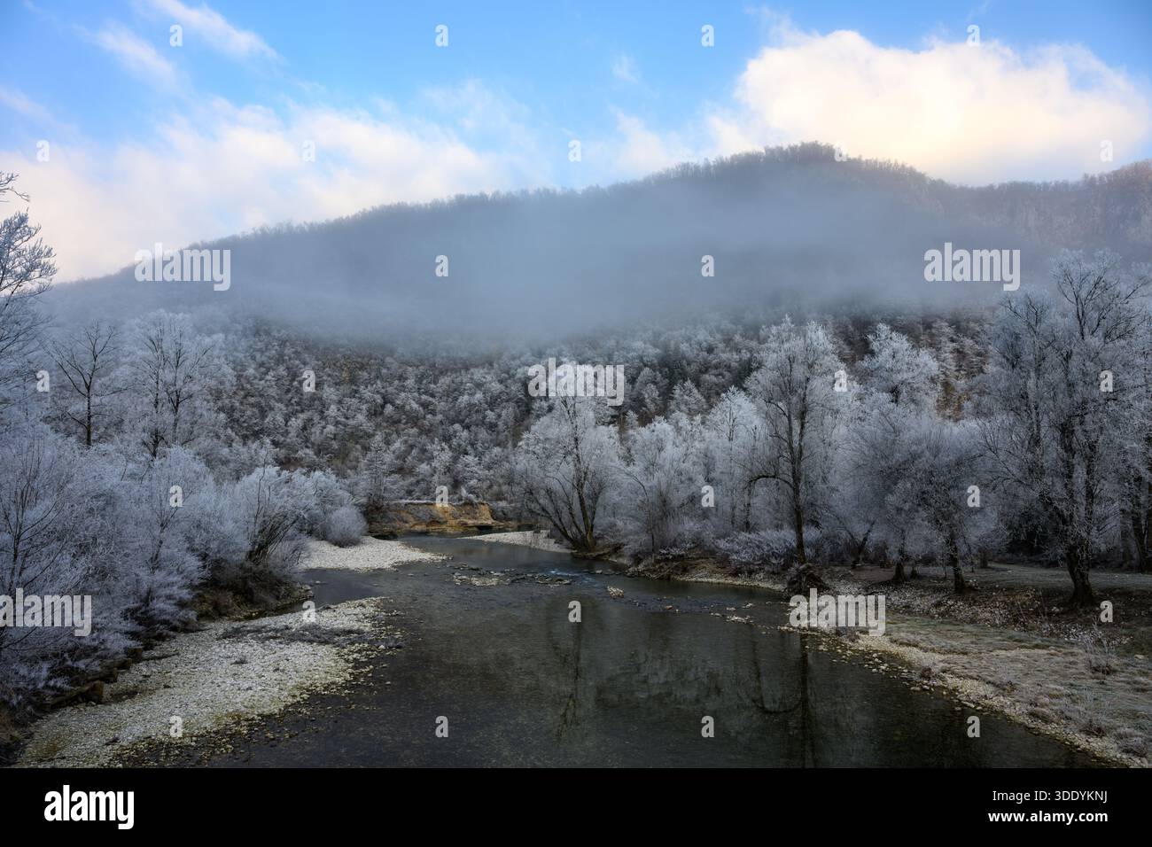 Fiume che scorre con alberi ricoperti di gelo in Slovenia Foto Stock