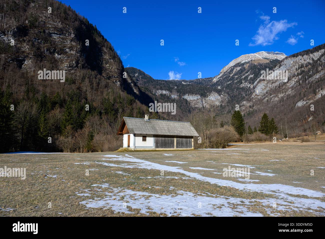 Capanna in legno nelle Alpi slovene Foto Stock