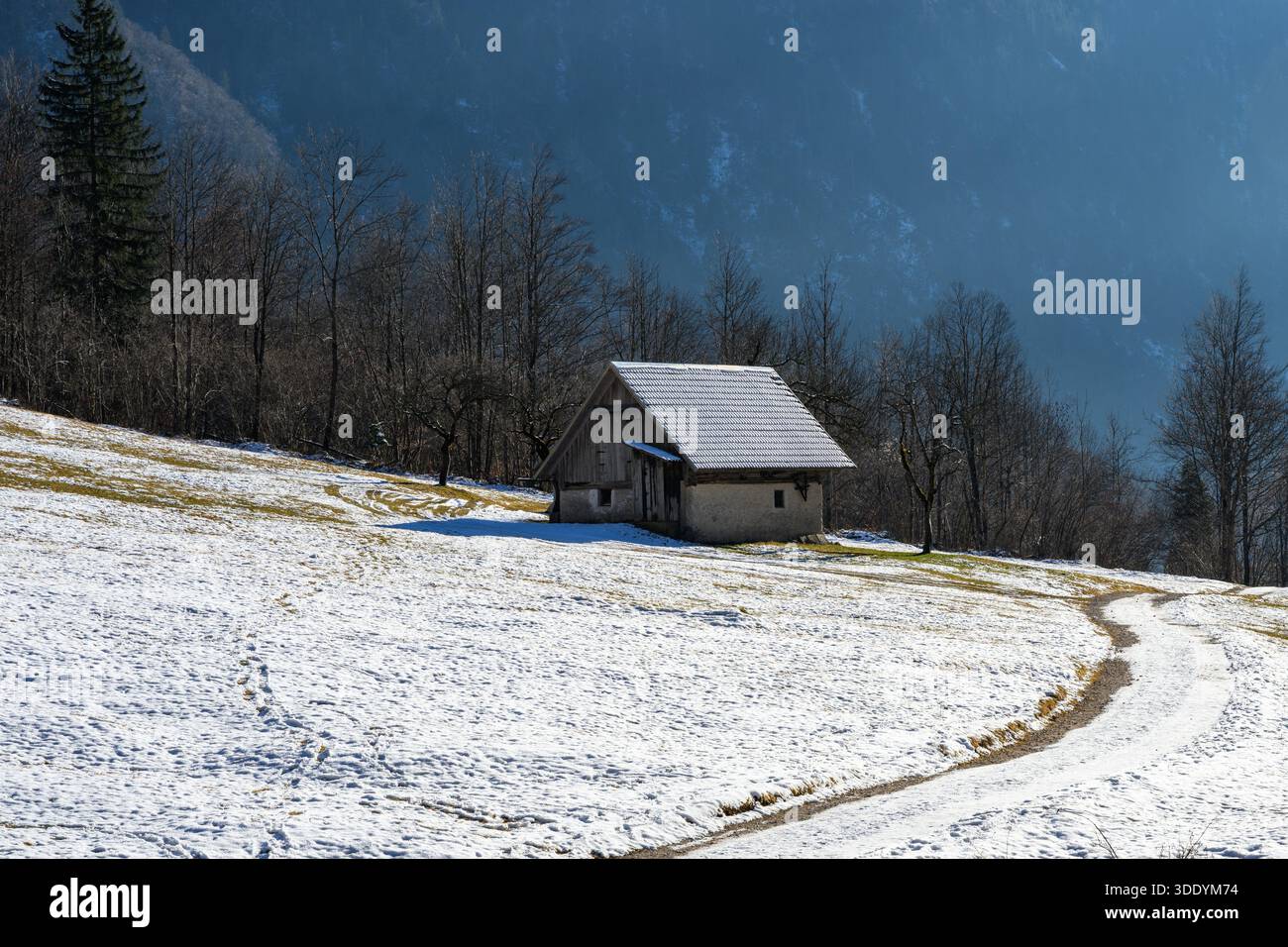 Capanna in legno nelle Alpi slovene Foto Stock