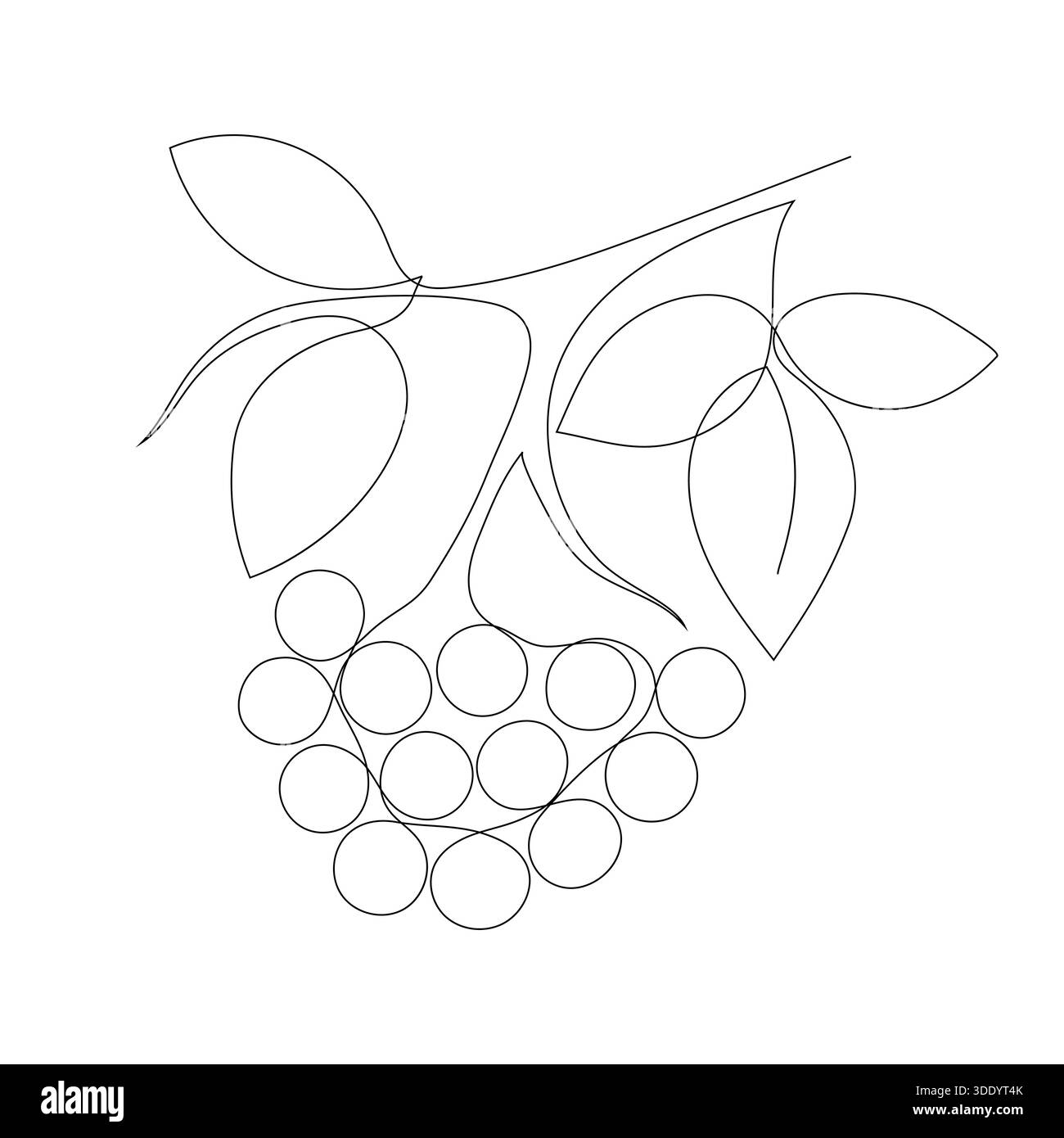 Un'illustrazione vettoriale a una linea pulita ed elegante di una diramazione di rowan. Il design cattura l'essenza dell'autunno con un gruppo di frutti di bosco e diverse le Illustrazione Vettoriale