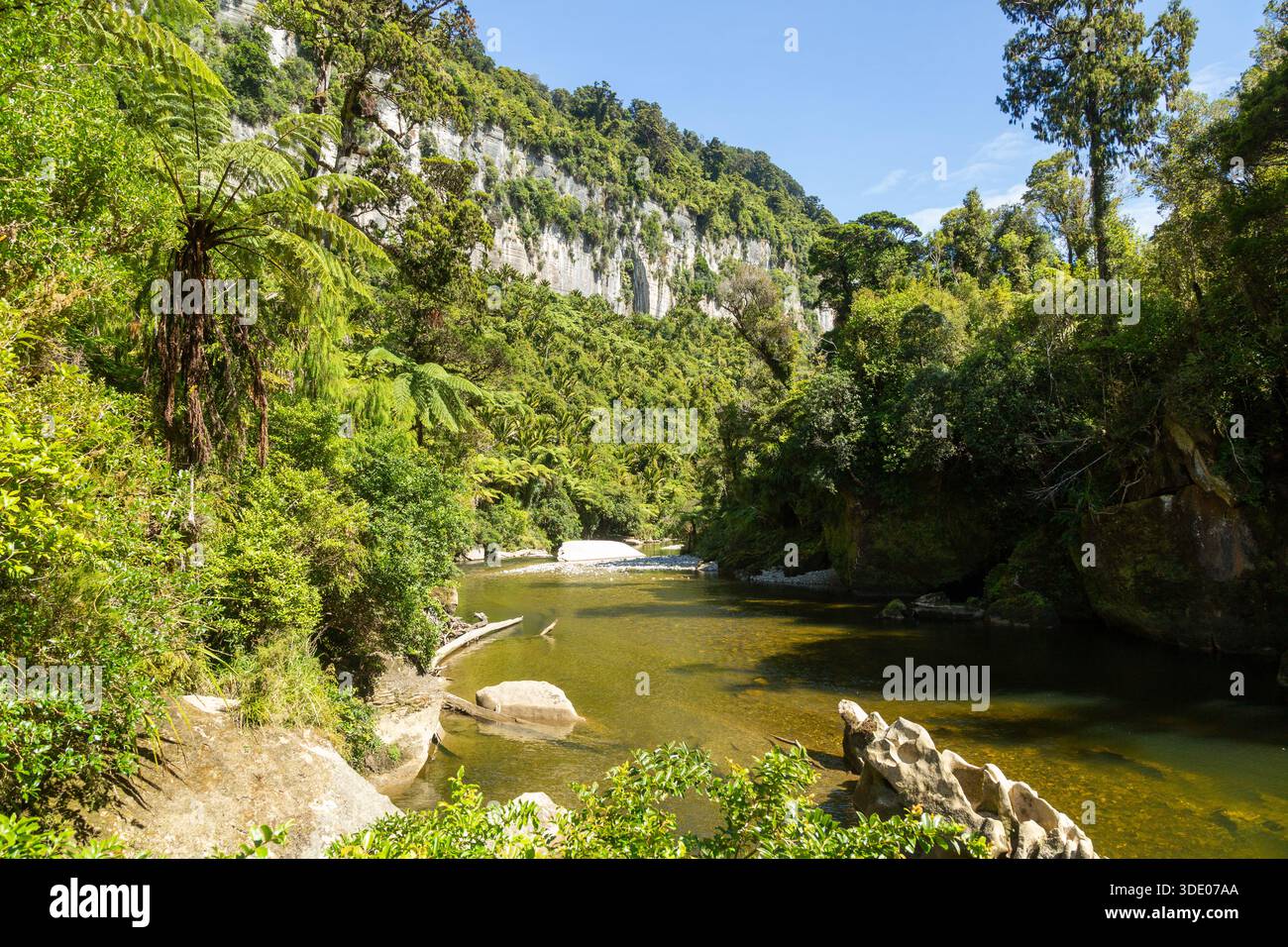 Il percorso del Pororari Loop è una bella passeggiata lungo il fiume Pororari attraverso una splendida gola calcarea, Punakaiki, South Island, nuova Zelanda Foto Stock