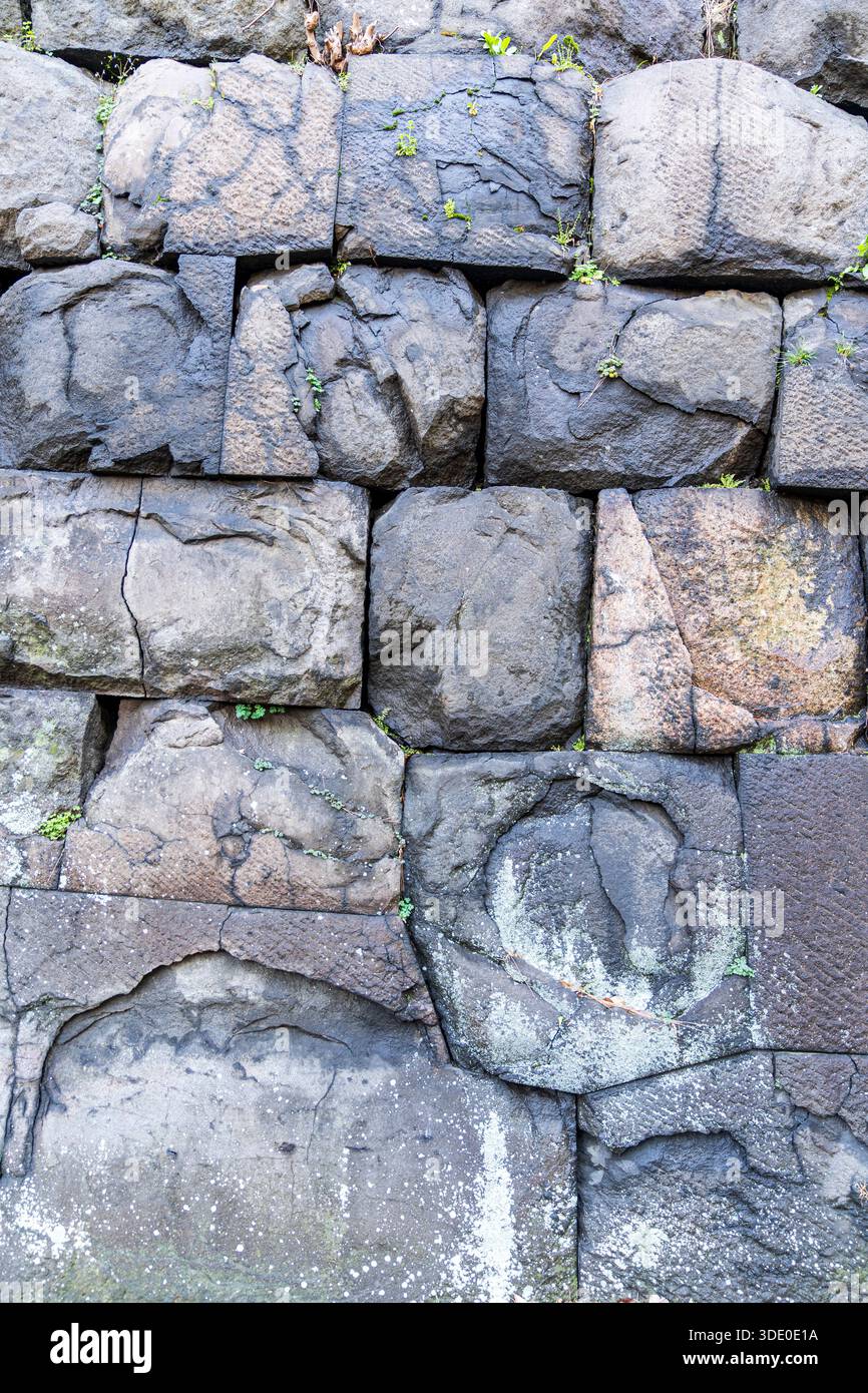 Primo piano delle pietre intagliate a mano utilizzate nell'Ishigaki, le mura in pietra del castello di Edo ora nel giardino orientale del Palazzo Imperiale. Stile Kirikomihagi. Foto Stock