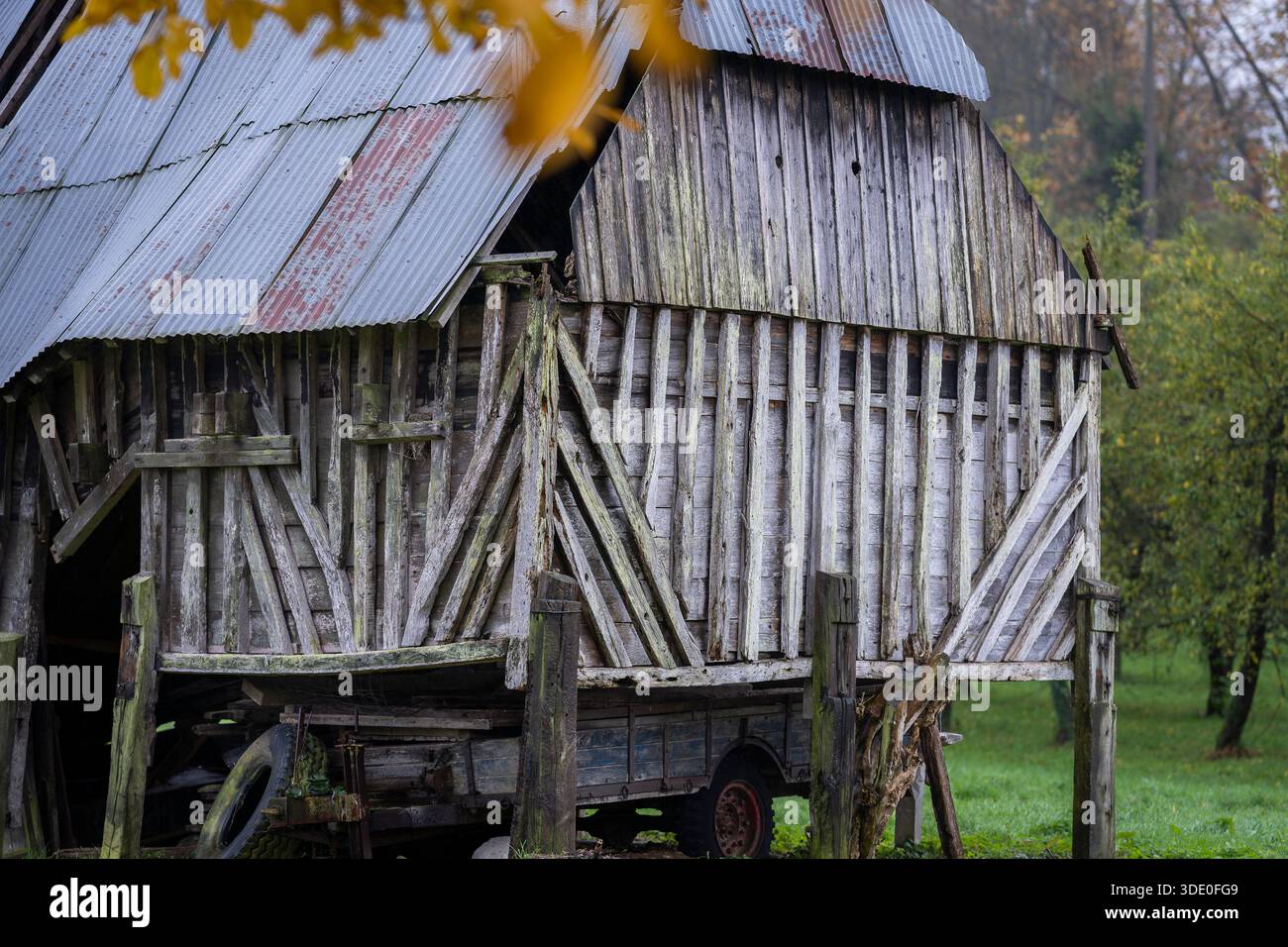 Fienile in legno con tetto in metallo ondulato in un tranquillo paesaggio rurale in autunno. Vecchio capannone rustico che mostra decadimento e consistenza. Foto Stock