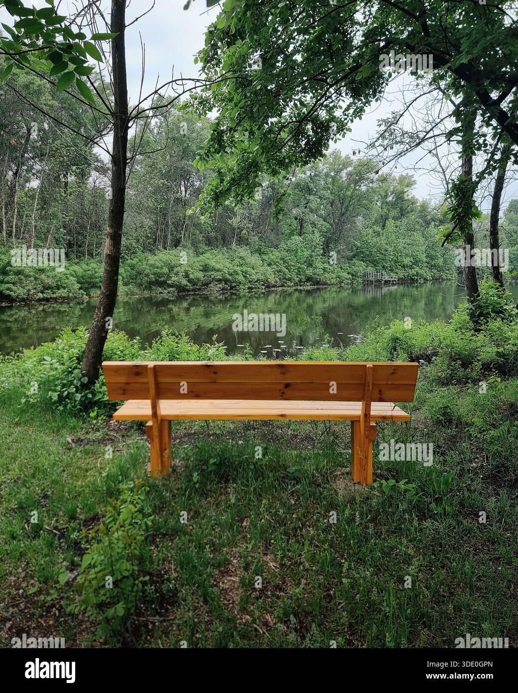 Panchina vuota in legno con vista su un tranquillo fiume nella foresta. Un colpo centrato a livello degli occhi di una panchina di legno marrone chiaro pulita che si affaccia su un lago calmo Foto Stock