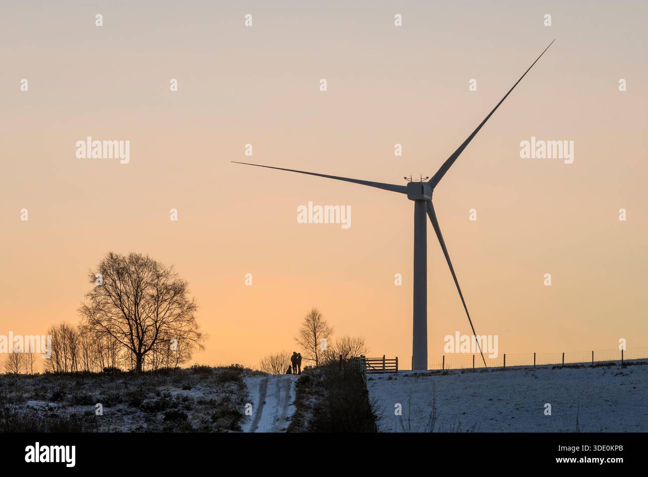 Una coppia e il loro cane si godranno il tramonto durante una passeggiata pomeridiana d'inverno passando davanti al parco eolico di Llandegley vicino a Builth Wells, nel Galles centrale, nel Regno Unito Foto Stock