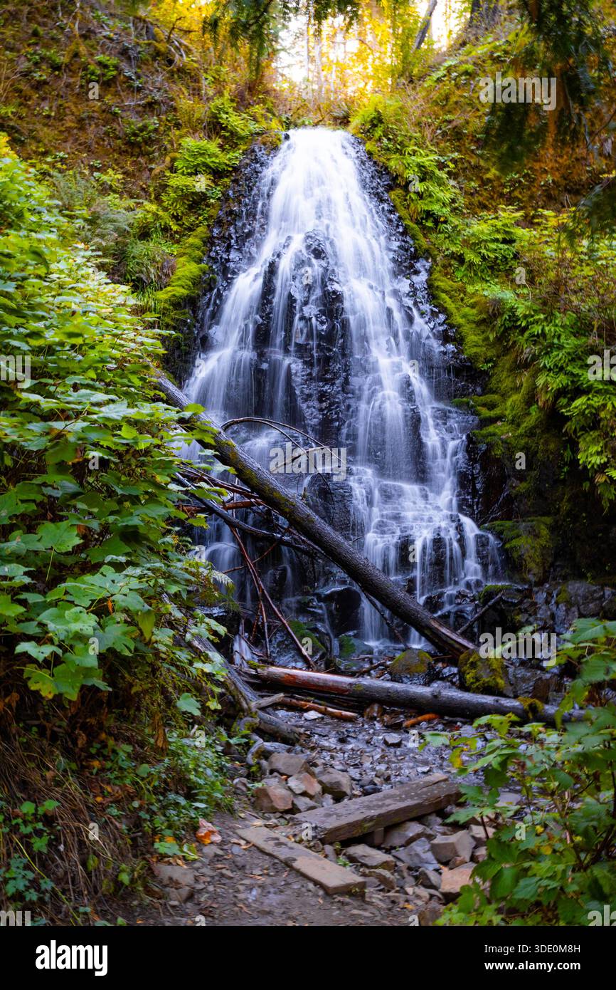 Una vista magica e pittoresca delle Fairy Falls, una delicata cascata simile a un velo che scende graziosamente su una scogliera coperta di muschio all'interno del lussureggiante Co Foto Stock