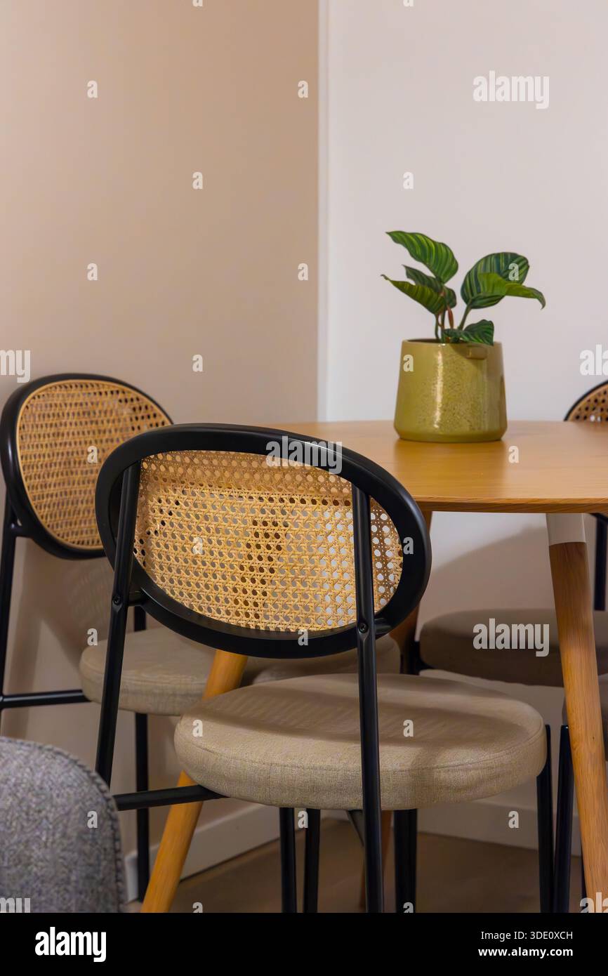 Scatto verticale grandangolare a livello degli occhi che si concentra sulla consistenza degli schienali delle sedie in rattan, un tavolo in legno e una pianta verde decorativa in una pentola di ceramica Foto Stock