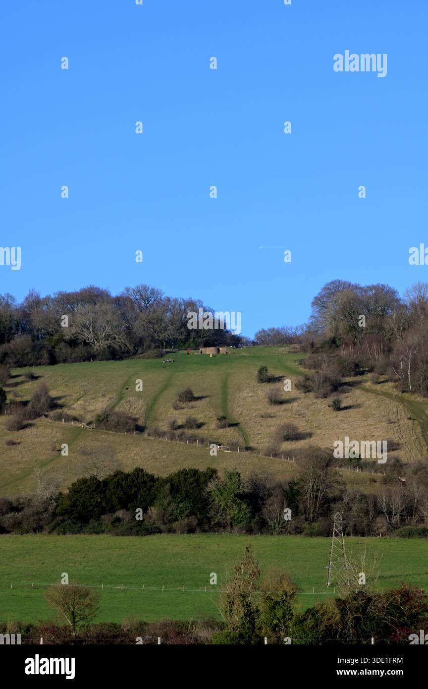 Pendici di prateria calcarea di Box Hill al sole invernale, Box Hill, Surrey, Regno Unito, 19 dicembre 2025 Foto Stock