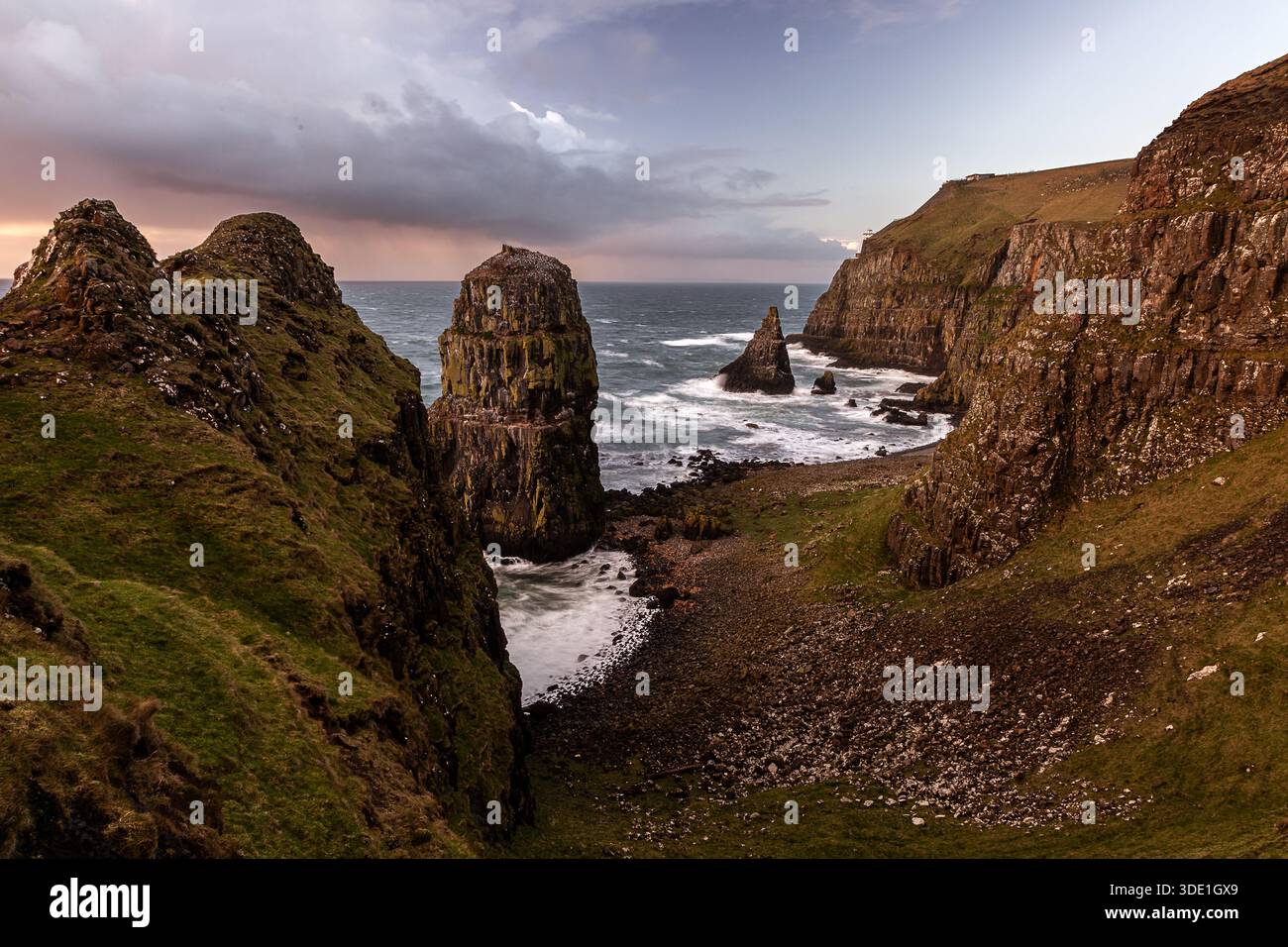 Costa e scogli marini dove vivono molte alche e uccelli marini sull'isola di Rathlin, Irlanda del Nord, marzo Foto Stock