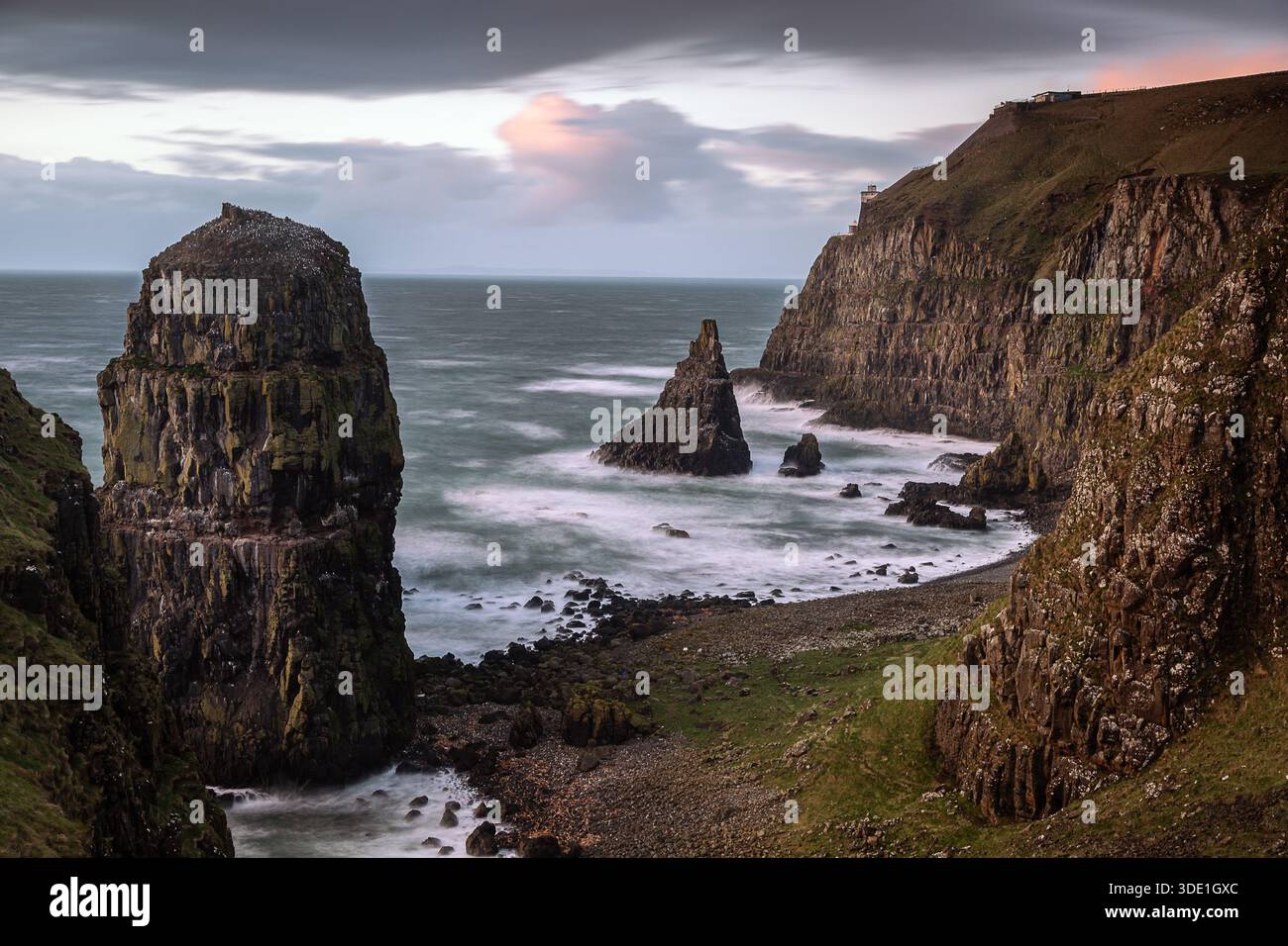 Costa e scogli marini dove vivono molte alche e uccelli marini sull'isola di Rathlin, Irlanda del Nord, marzo Foto Stock