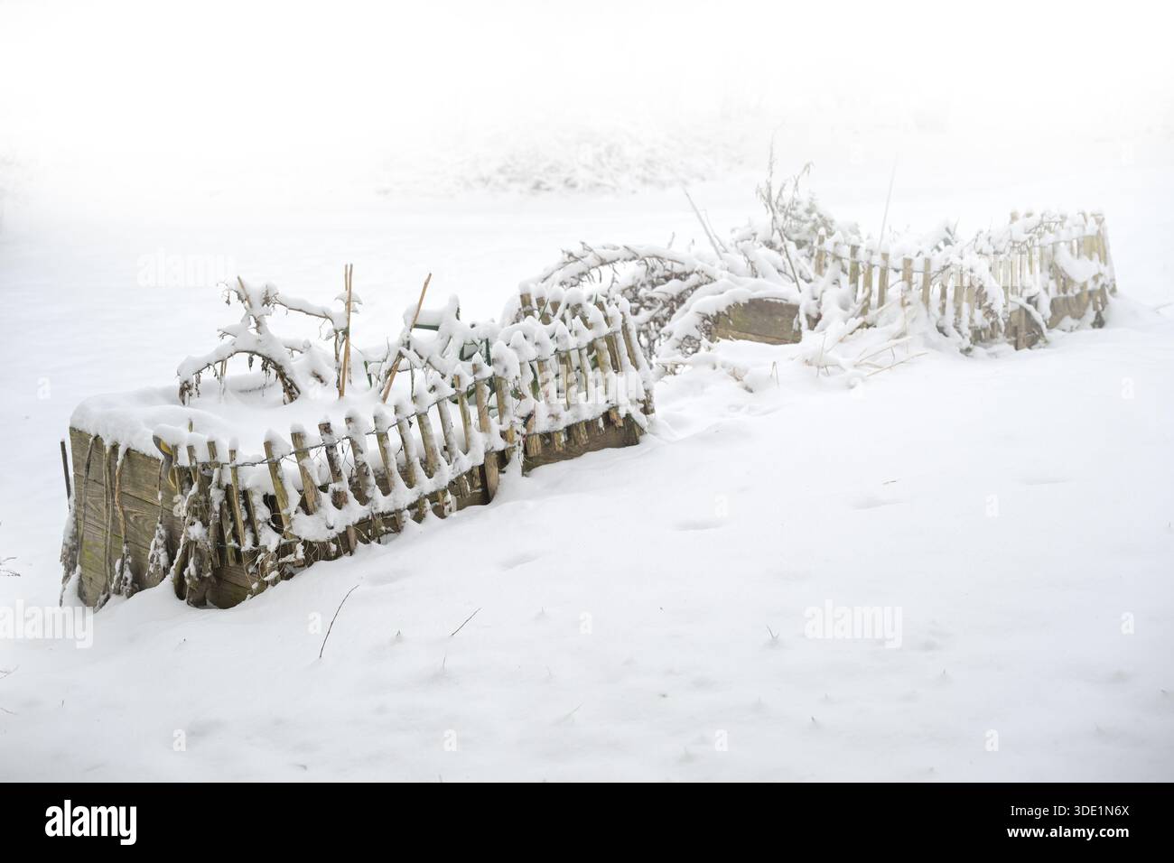 Lettini rialzati intemprati per verdure coperte di neve in una giornata nebbiosa; brutto tempo di giardinaggio nella stagione invernale con clima freddo e gelido, copia spac Foto Stock