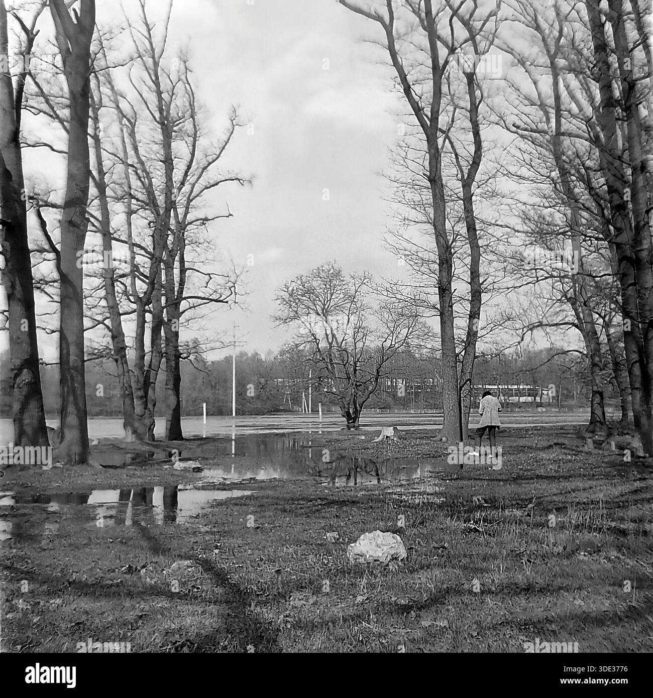 Fotografia d'archivio monocromatica dell'epoca sovietica degli anni '1980 raffigurante una radura forestale allagata nei pressi della dorsale "appendicite" a Brusino, regione di Donetsk, Ucraina URSS. Alti alberi si innalzano su terreno bagnato con pozzanghere che riflettono il cielo. Un uomo si trova a metà strada, osservando le alte acque del fiume Seversky Donets. Gli edifici di villeggiatura sono visibili sulla sponda distante, evidenziando lo stato ricreativo dell'area. Questa scena cattura l'alluvione stagionale primaverile che colpisce il paesaggio locale nel tranquillo Donbass prima della guerra. Foto Stock
