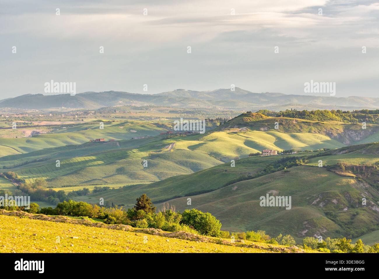 Valli e campi in un paesaggio rurale Foto Stock