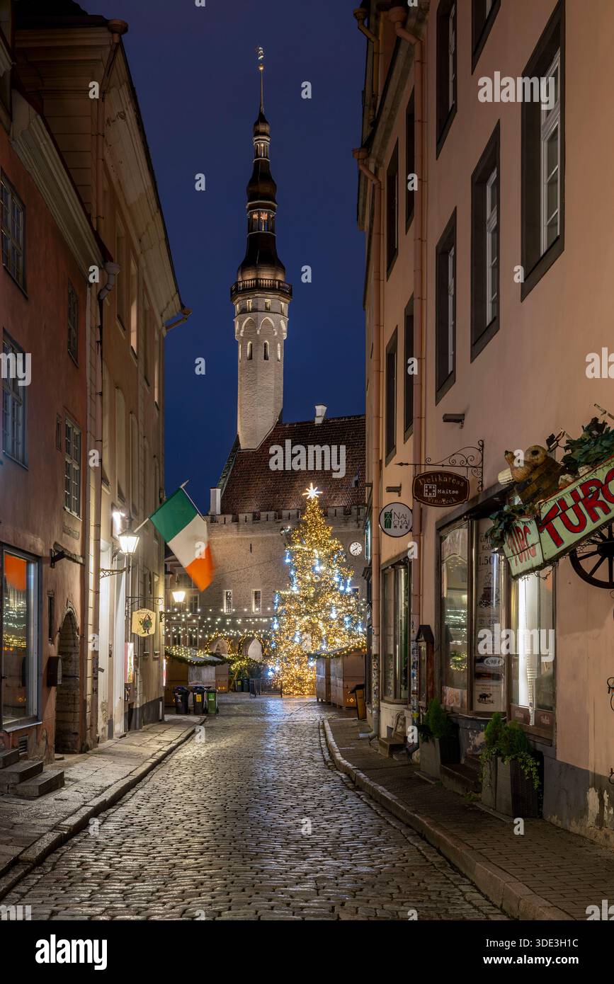 Strada nella città vecchia con il municipio sullo sfondo, Tallinn, Harju, Estonia Foto Stock