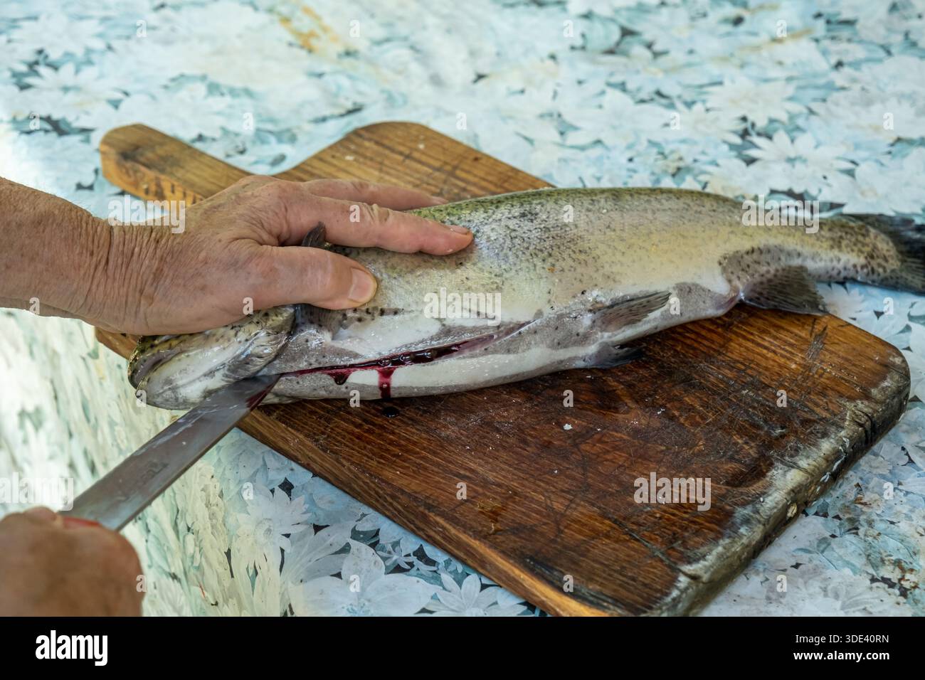 Una fotografia ravvicinata mostra una persona anziana che esegue la decalcificazione di un pesce appena pescato su un tagliere di legno con sfondo rustico e resistente agli agenti atmosferici Foto Stock