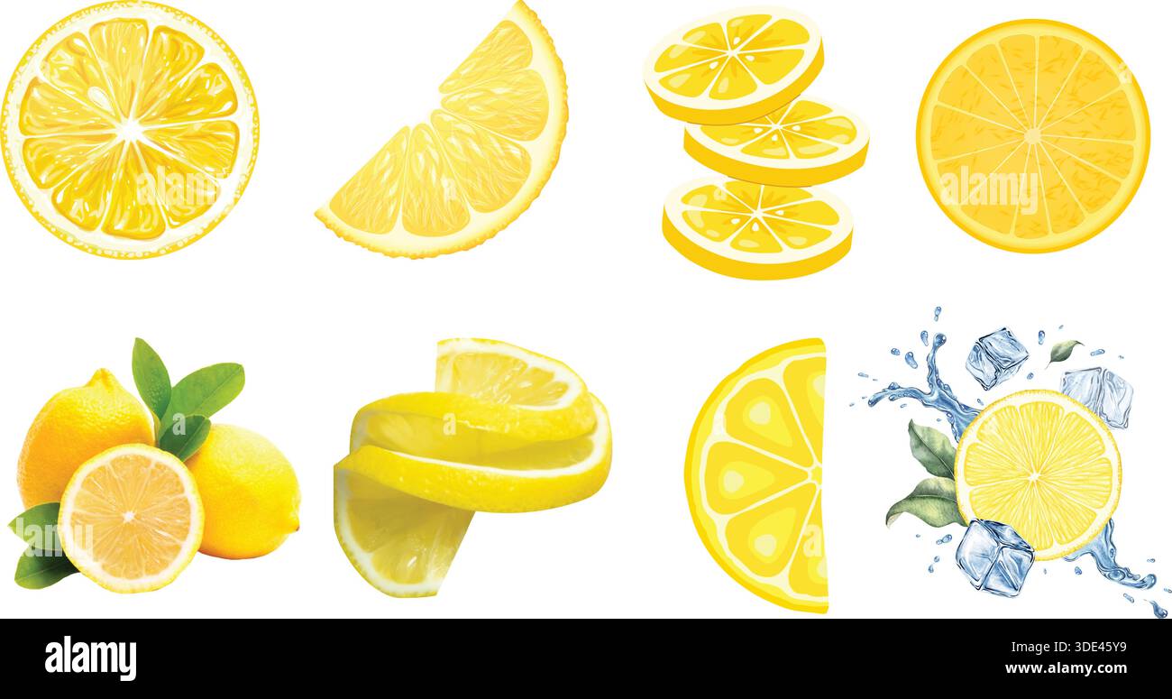 Collezione di vivaci illustrazioni di limone giallo con frutti interi, varie fette, spirali e rinfrescanti spruzzi d'acqua ghiacciata Illustrazione Vettoriale