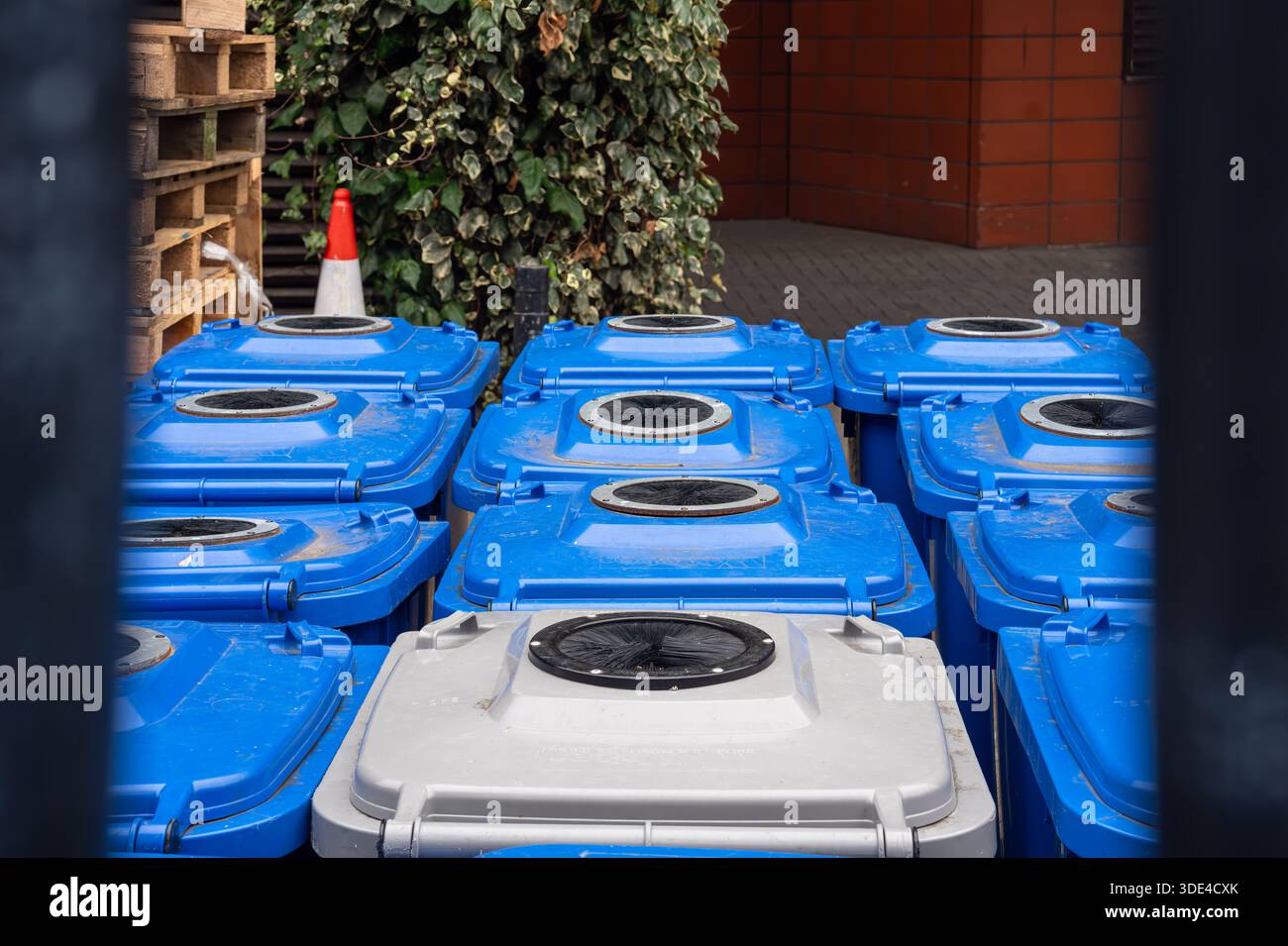 Contenitori di riciclaggio blu e grigi allineati all'aperto a Londra Foto Stock