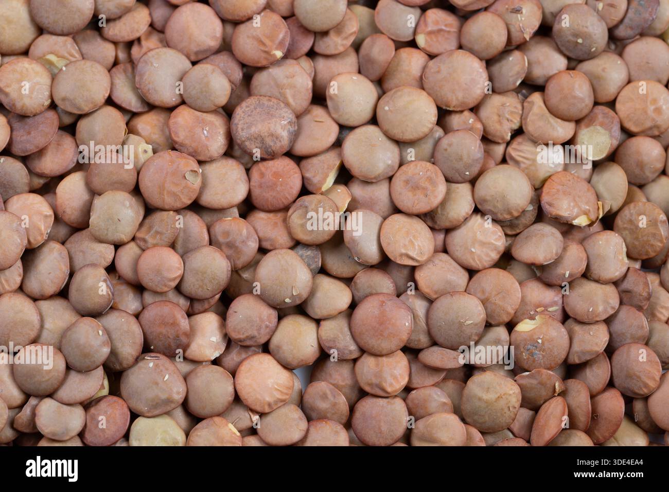 Vaso in vetro ricaricabile per lo shopping ecocompatibile, concetto di mercato ecologico con stoccaggio sostenibile di lenticchie in contenitori in vetro riutilizzabili Foto Stock