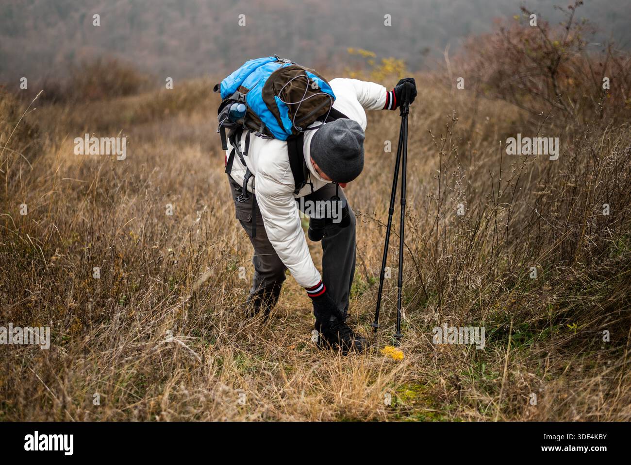 Escursionista con abiti caldi che lottano per infortuni alla caviglia mentre si trova in piedi su un sentiero nella foresta durante le escursioni nella nebbiosa giornata invernale. Foto Stock