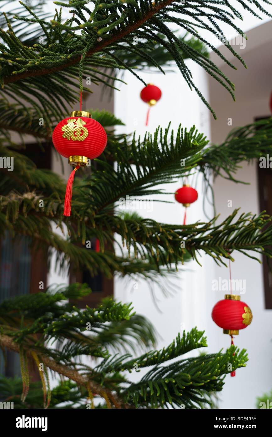 Palle di ornamento cinese rosse e gialle appese al ramo del pino - sfondo per decorazioni festive Foto Stock